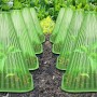 Садовый колпак для рассады конусный — защита растений от вредителей и погодных условий, 10 шт/уп