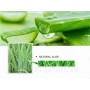 Зволожуючий гель для шкіри обличчя з екстрактом Aloe Vera 92 %