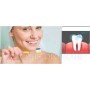 Порошок для зубів, що відбілює Teeth Whitening чорний, органічний, 30 г