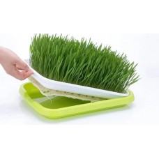 УЦІНКА. Лоток для мікрозелені, пророщувач насіння гідропонний