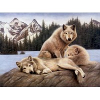 Алмазна мозаїка 