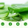 Увлажняющий гель для лица с экстрактом алоэ вера Aloe Vera, BIOAQUA 170 мл