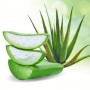 Зволожуючий гель для обличчя з екстрактом алоє вера, Aloe Vera BIOAQUA, 170 мл